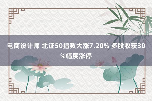 电商设计师 北证50指数大涨7.20% 多股收获30%幅度涨停